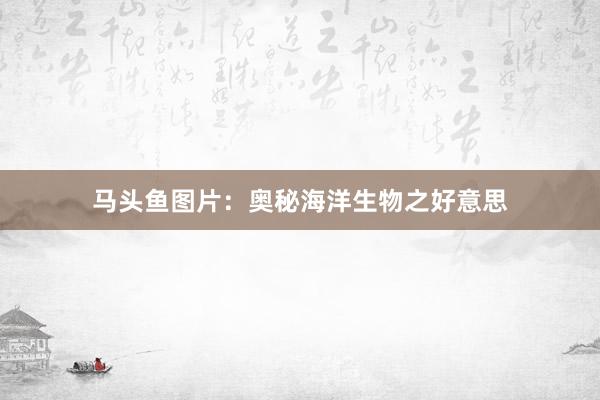 马头鱼图片：奥秘海洋生物之好意思