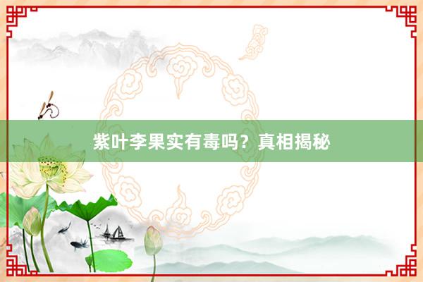 紫叶李果实有毒吗？真相揭秘